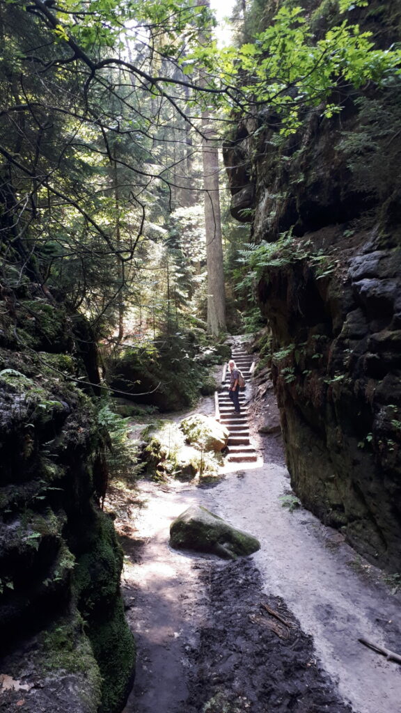 Teufelsschlüchte bei Wehlen in unberührter Natur