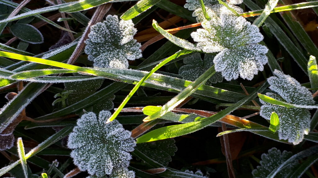 erste Winterspuren für Winter Touren