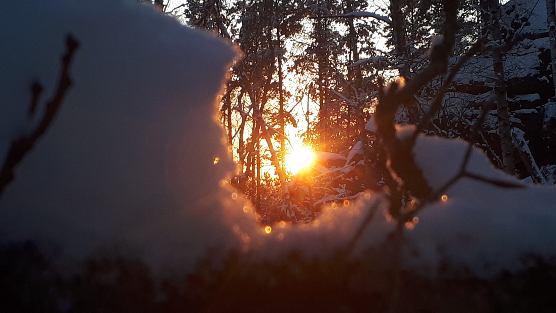 Winter in der Sächsischen Schweiz