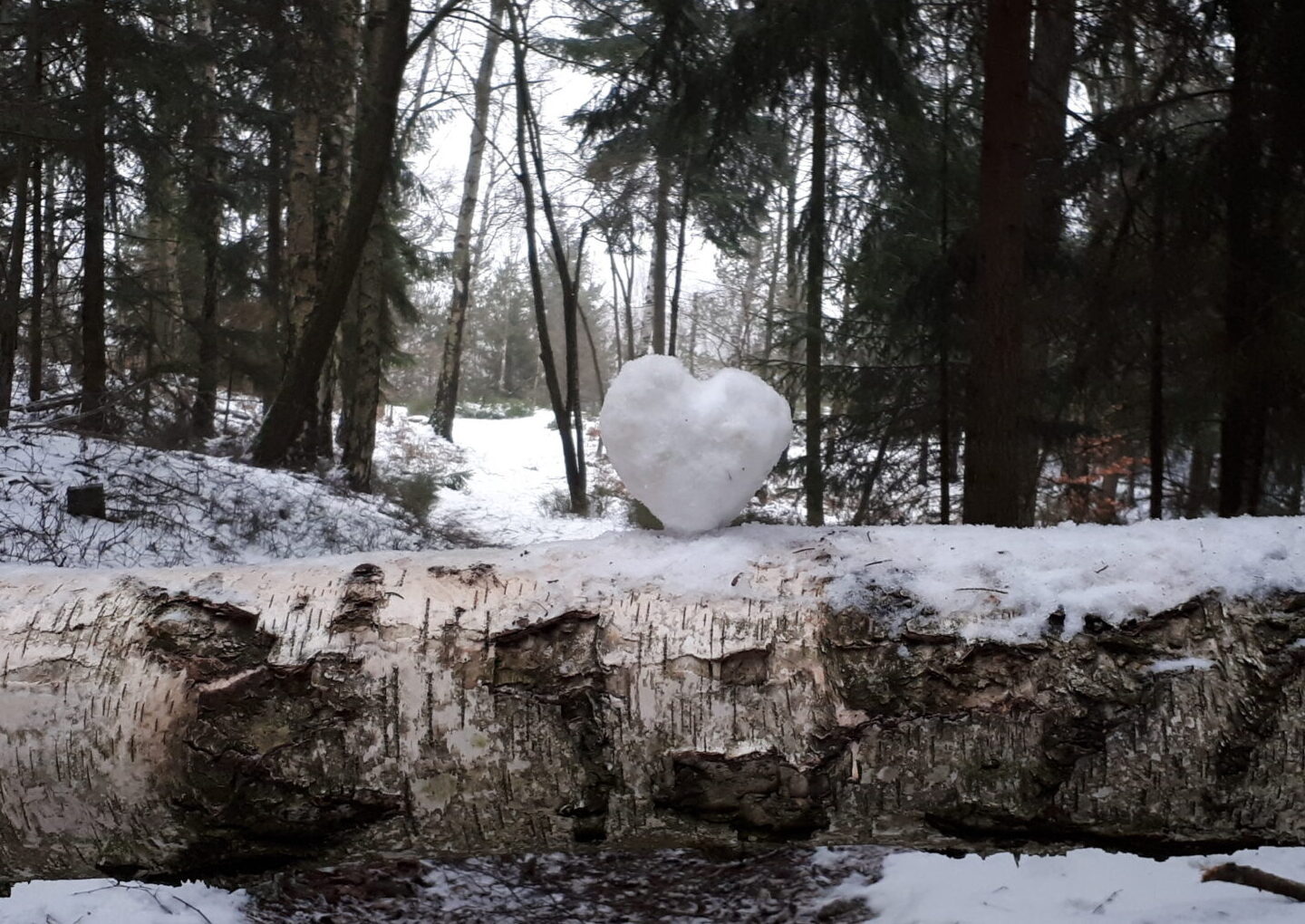 herzliche Weihnachtsgrüße