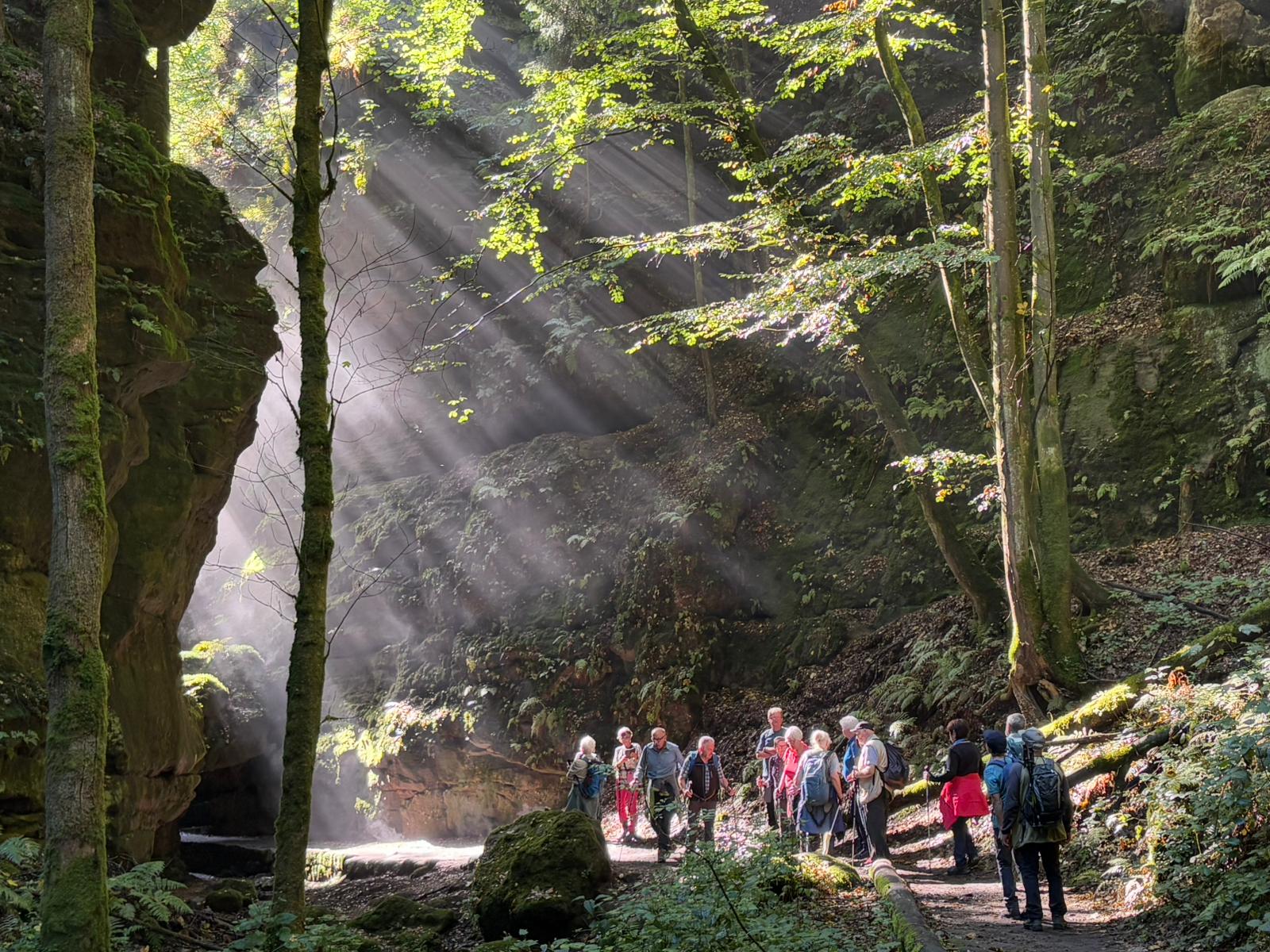 Sonnenstrahlen auf Entdeckertour im Uttewalder Grund