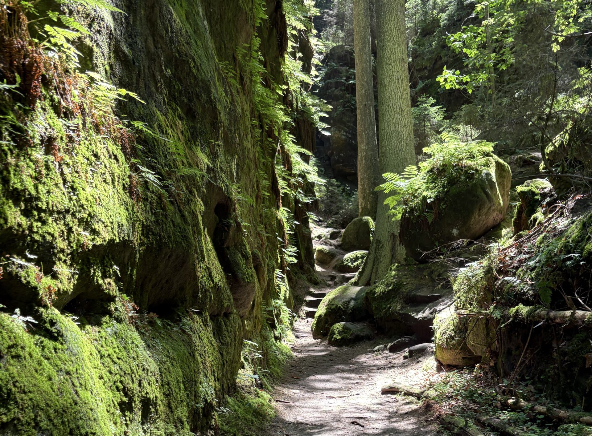 in den Teufelsschlüchten rund um Wehlen